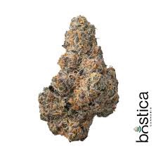 GRAPE GASOLINE THCA HEMP FLOWER